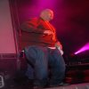 Fat Joe [60]