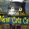 Party at Cats Cafe [24]
