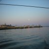 picture_133