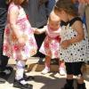RBK245-vi