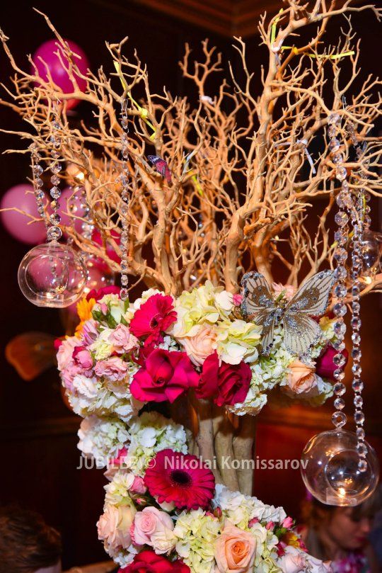 ALEXA0191-vi