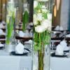 WEDD0005-vi