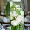 WEDD0007-vi