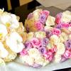 WEDD0034-vi
