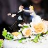 WEDD002-vi