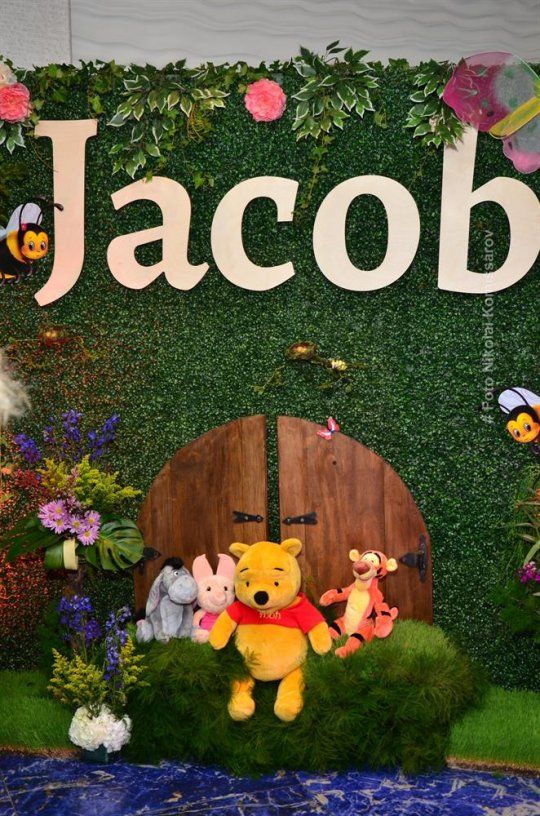 JACOB0050-vi