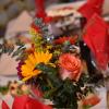 WEDD0025-vi