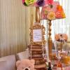 BABY0009-vi