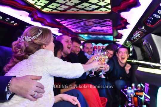 WEDD0408-vi