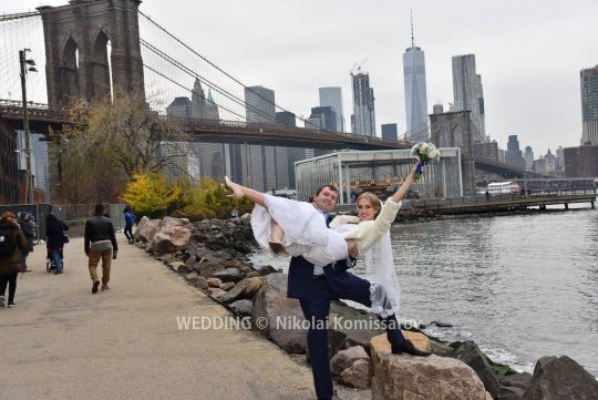 WEDD1000-vi