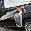 WEDD1444-vi