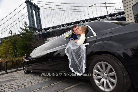 WEDD1444-vi