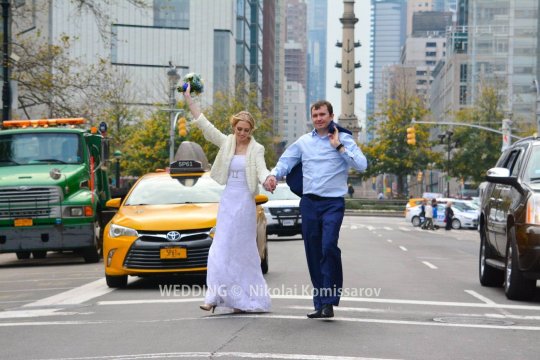 WEDD1481-vi
