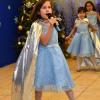 XMAS0077-vi