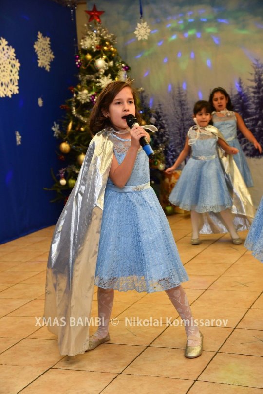 XMAS0077-vi