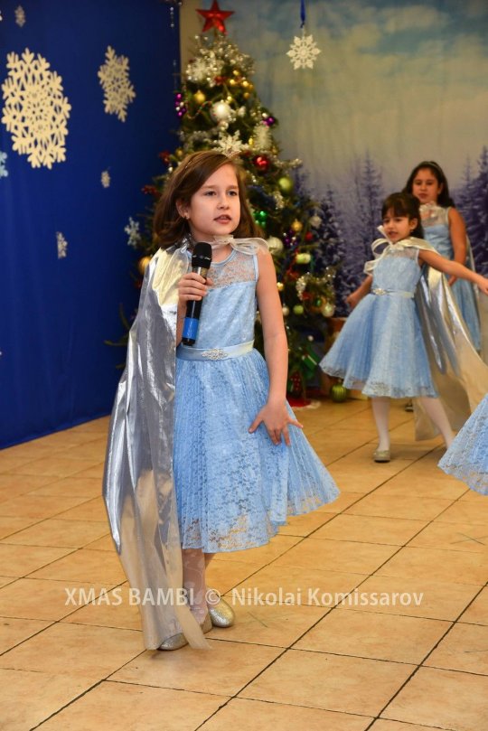 XMAS0078-vi