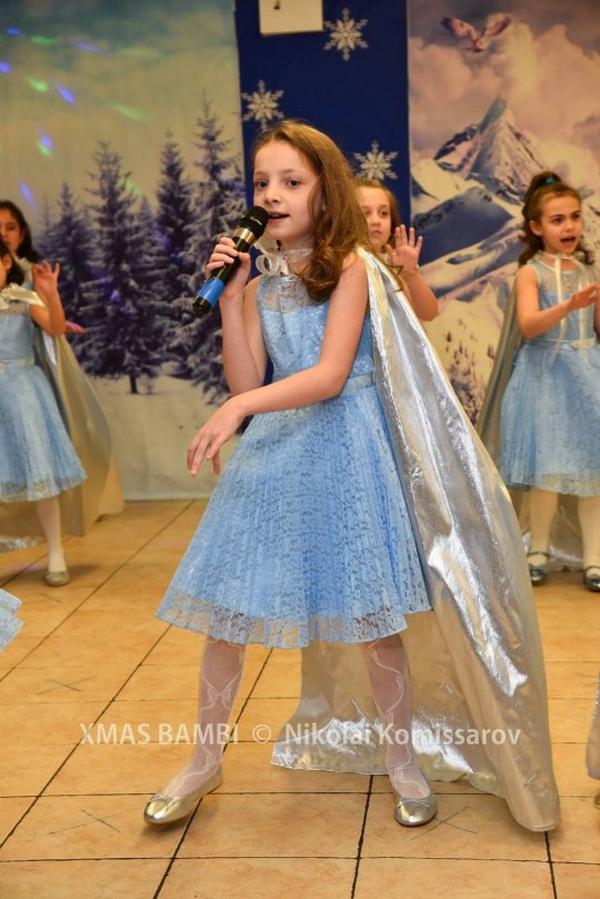 XMAS0079-vi