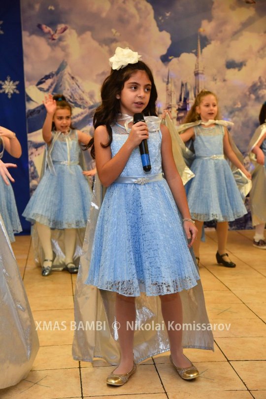 XMAS0083-vi