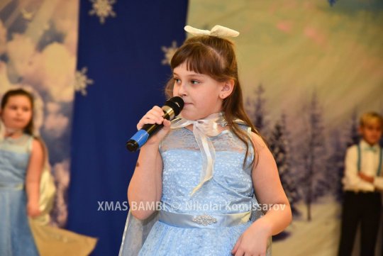 XMAS0092-vi