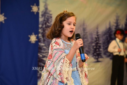 XMAS0191-vi
