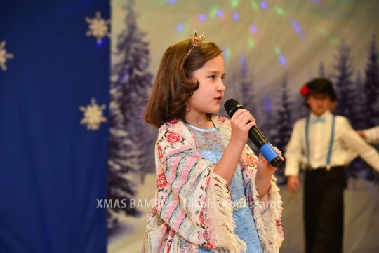 XMAS0194-vi