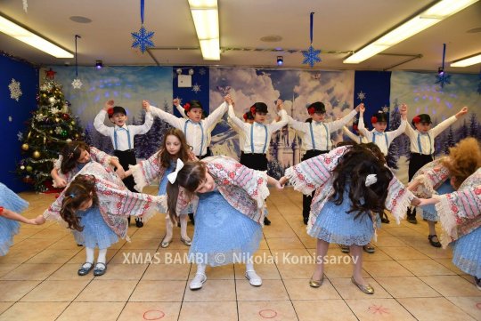 XMAS0238-vi
