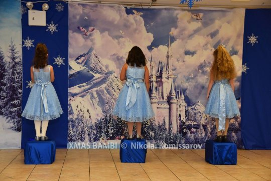 XMAS0286-vi