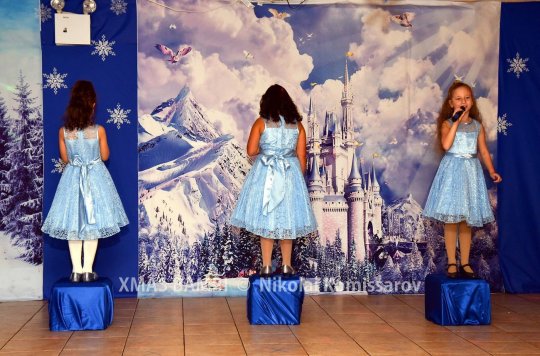 XMAS0289-vi