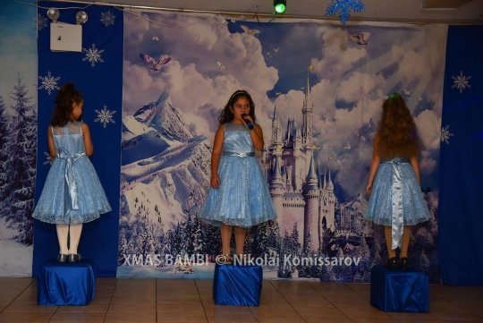 XMAS0291-vi