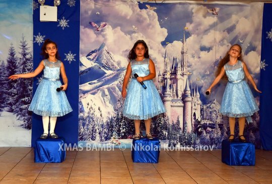 XMAS0292-vi