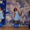 XMAS0293-vi