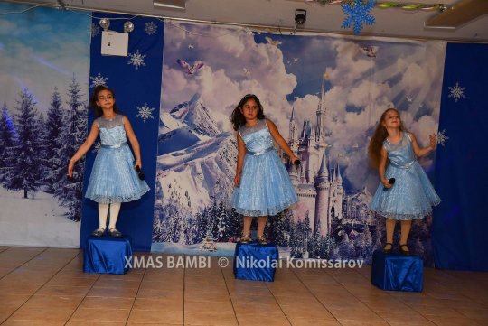 XMAS0293-vi