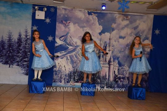 XMAS0294-vi