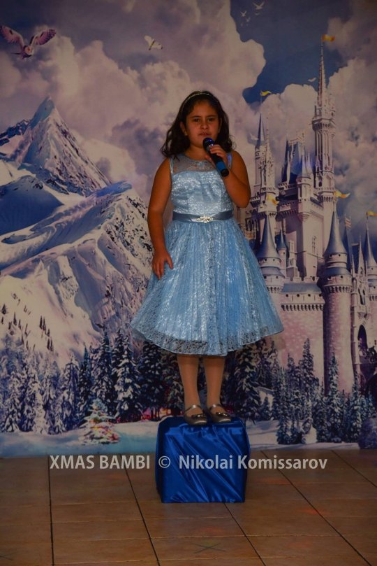 XMAS0298-vi