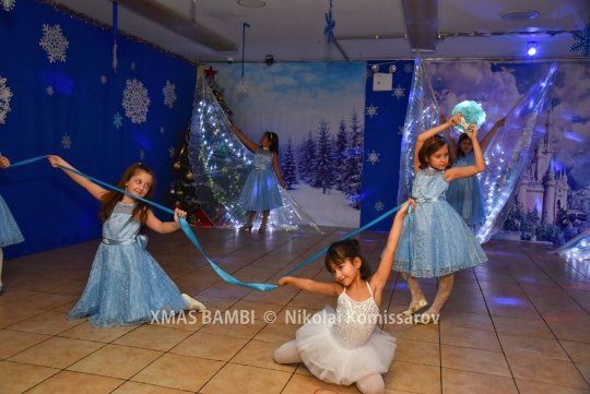 XMAS0332-vi