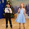 XMAS0337-vi