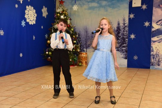 XMAS0337-vi