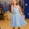 XMAS0338-vi