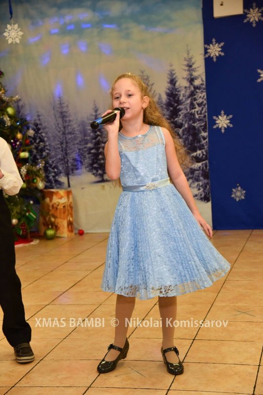 XMAS0338-vi