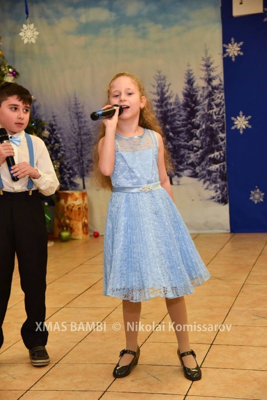 XMAS0339-vi