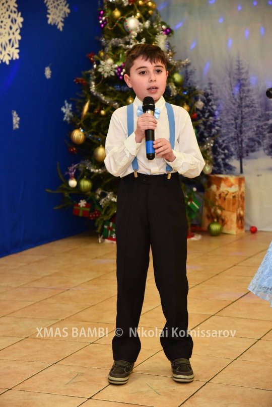 XMAS0341-vi