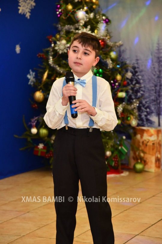 XMAS0344-vi