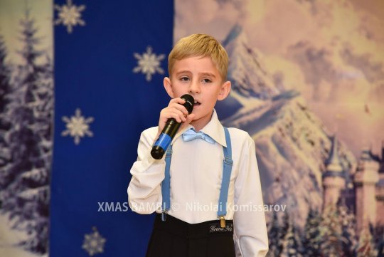 XMAS0356-vi