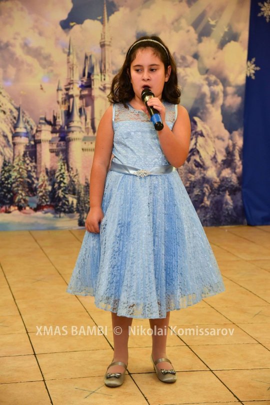 XMAS0358-vi