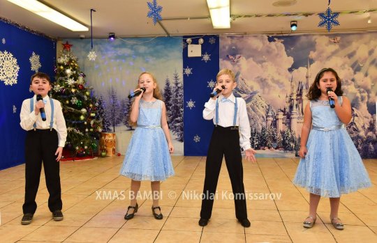 XMAS0363-vi