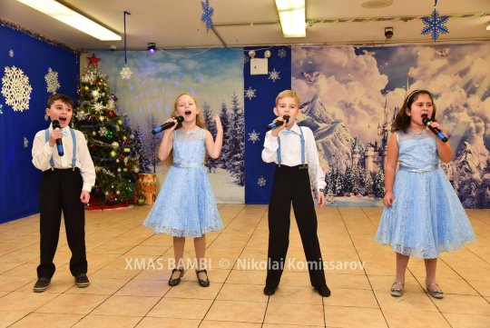 XMAS0367-vi