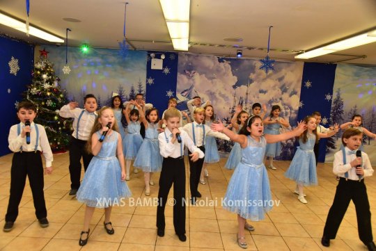 XMAS0376-vi