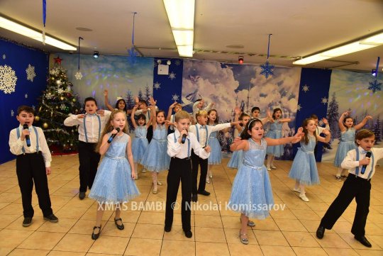 XMAS0377-vi