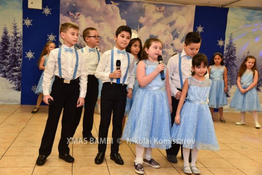 XMAS0398-vi