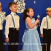 XMAS0432-vi